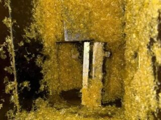 598664413_3371507562996471_2022846498924095224_n