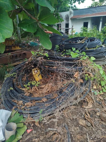 Bên em đang cần thu mua hàng phế liệu số lượng lớn về nhà máy lò giá cao ạ
