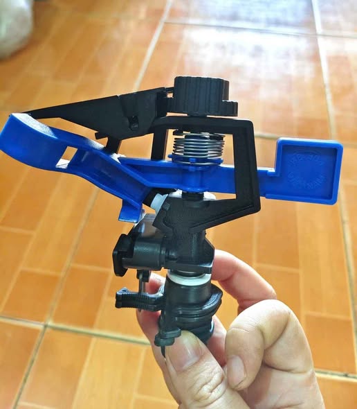 Béc Bảo Bình 904