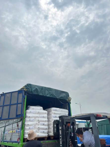 TPU / TPE CAO CẤP – GIÁ SIÊU TỐT – SẴN KHO HÀNG SLL TOÀN QUỐC